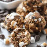 S’mores Energy Bites
